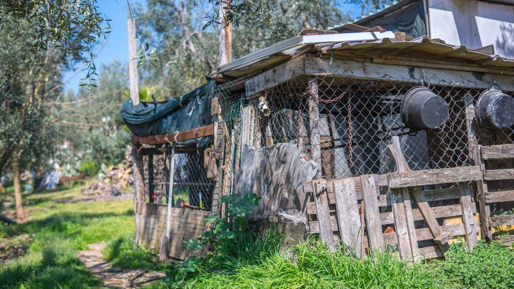 Villa Calma Вьесте Экстерьер фото
